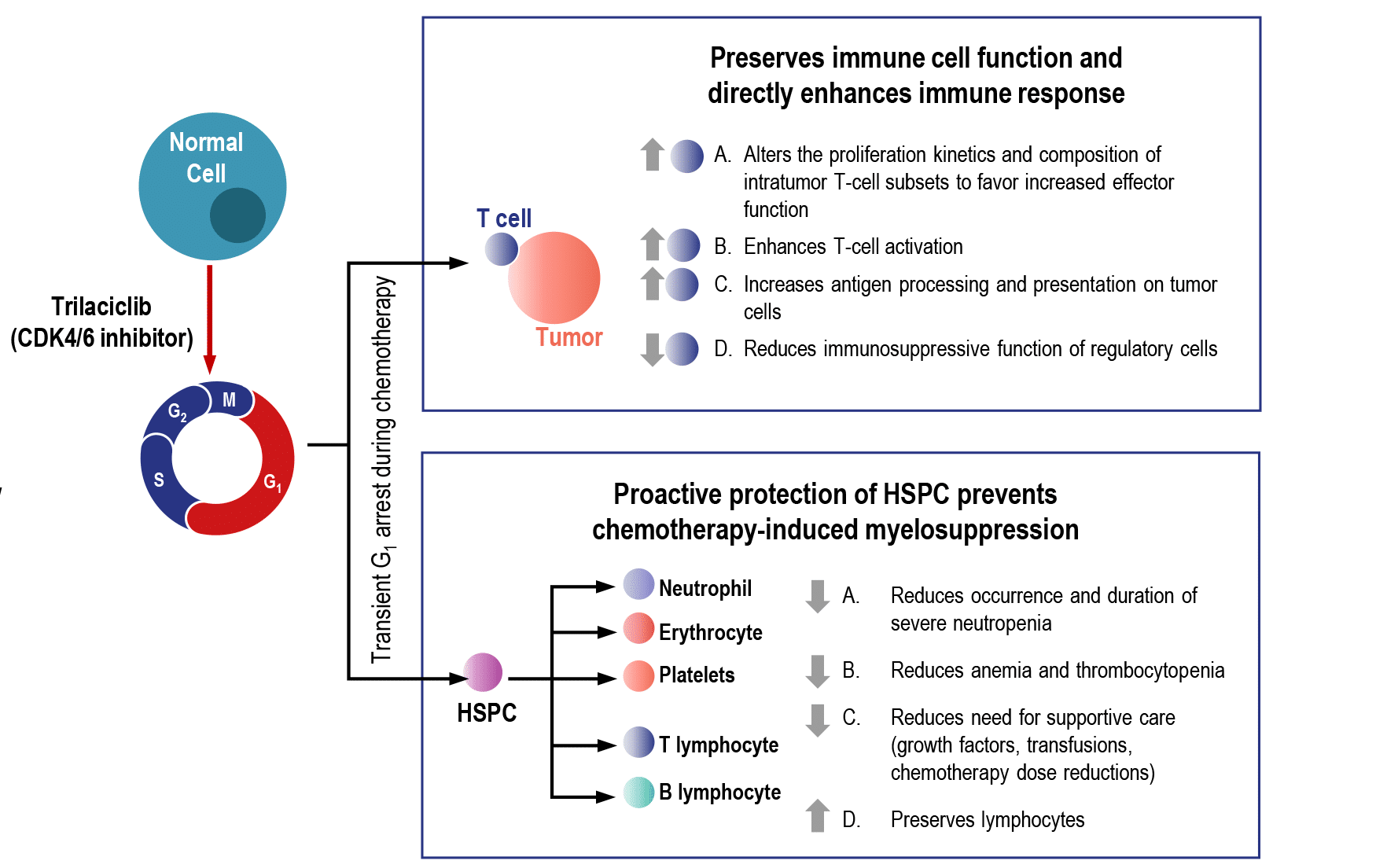 G1 Therapeutics scientific publications trlaciclib